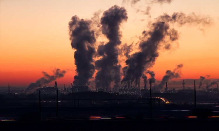 Noi e l’ambiente